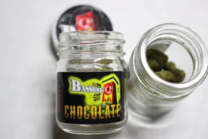 Bassrocks | Chocolate