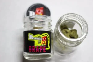 Bassrocks | Grape