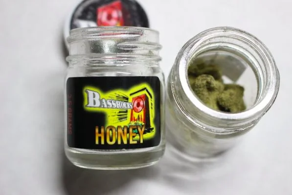 Bassrocks | Honey Bassrocks | Honey
