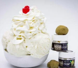 Dr Zodiak’s Moonrock | Vanilla Ice Cream